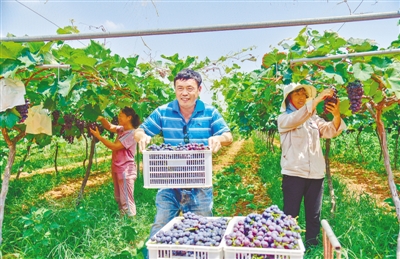 河南省郑州市巩义市乡村振兴墙绘,巩义入选美丽乡村试点