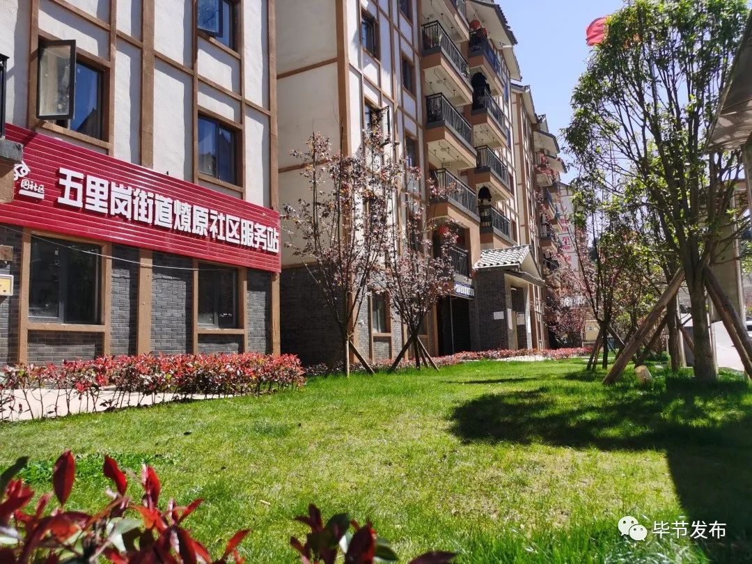 扶贫走出大山视频,脱贫致富大步向前走