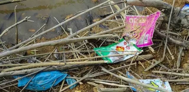 千里江河万亩山川，如何维持生态？值得钓友反思