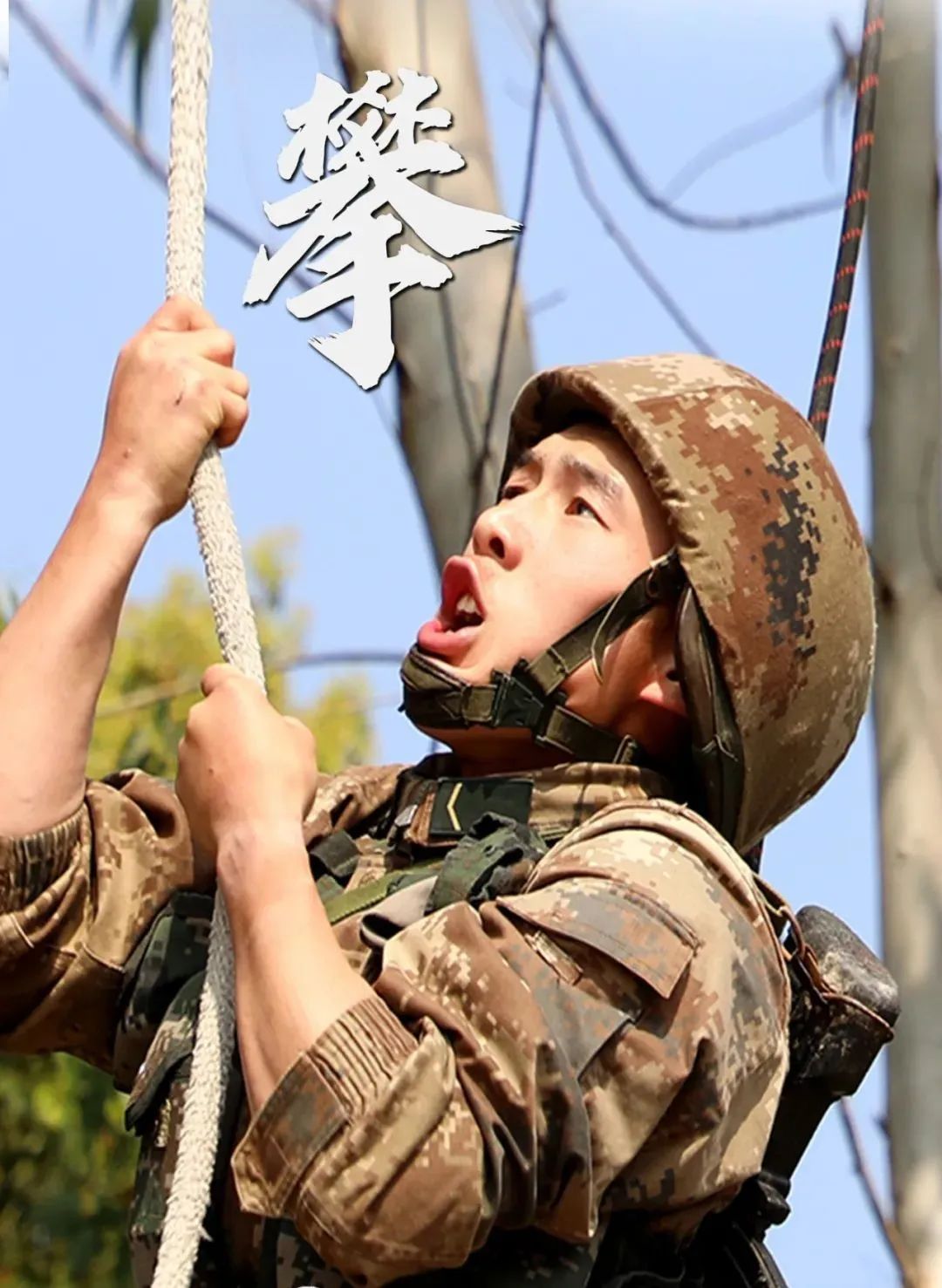 东部战区陆军下辖部队,北部战区陆军四个作战旅团