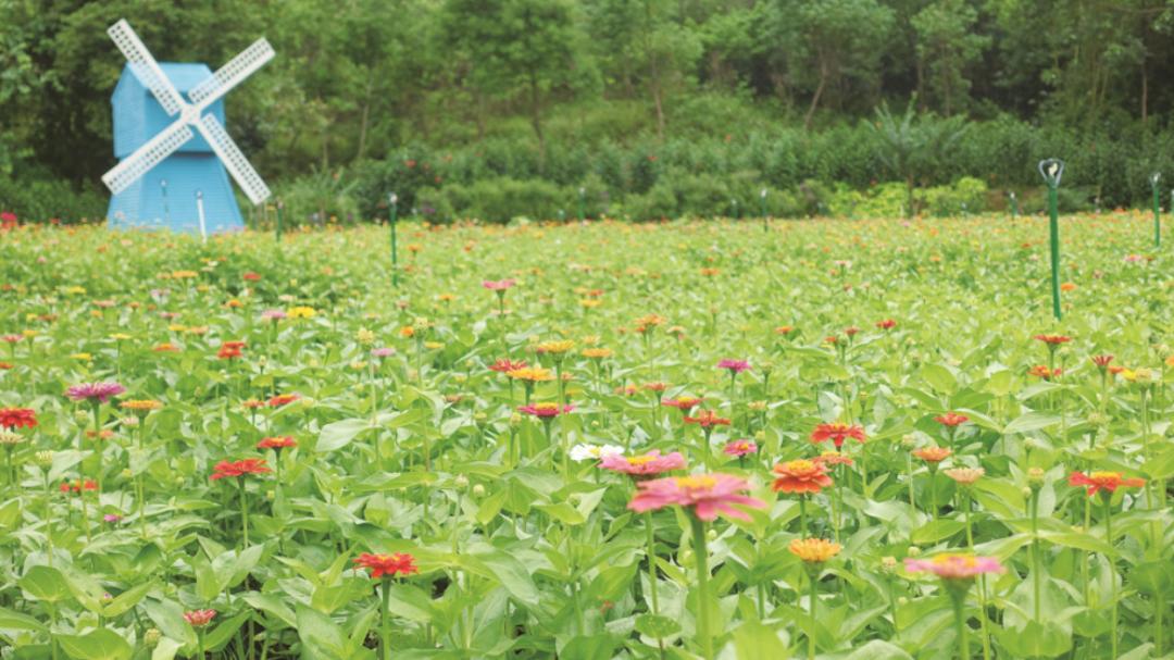 发扬战“疫”正能量！上周，佛山52次登上“学习强国”全国平台