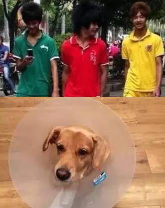 拉夫劳伦polo打折,店庆大优惠