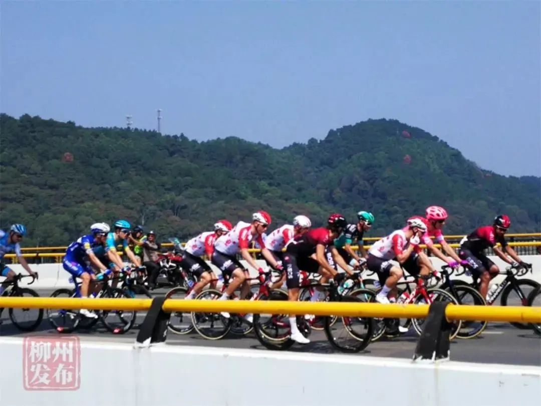 「畅游城中」一边运动，一边欣赏美景，小导游“成成”带你感受城中区倡导的健康生活
