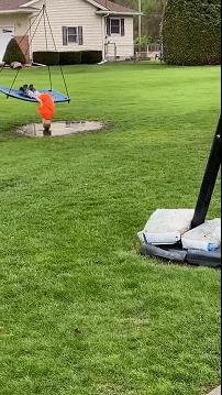 云南东方希望畜牧有限公司招聘,丽江畜牧兽医招聘网最新