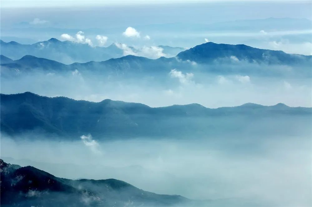 扫黑除恶“三句半”“小美“表演获点赞