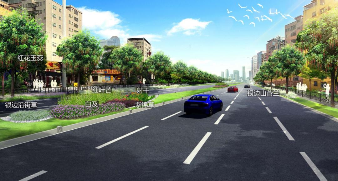 观澜区道路改造,观澜大道扩建最新消息