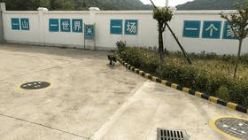 这样的鸟兽胖友圈，你见过吗？