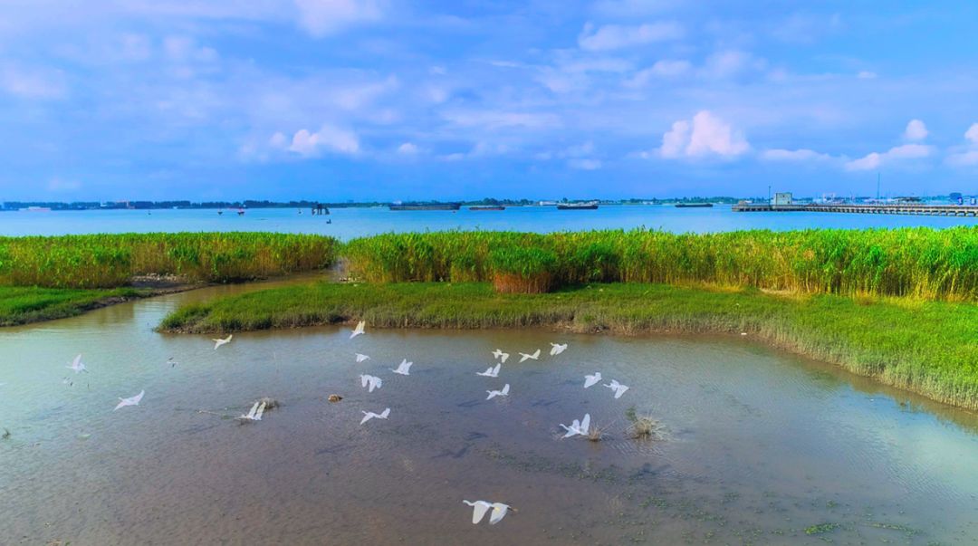 未来五年江阴这里真的会大变样吗,新动作新气象