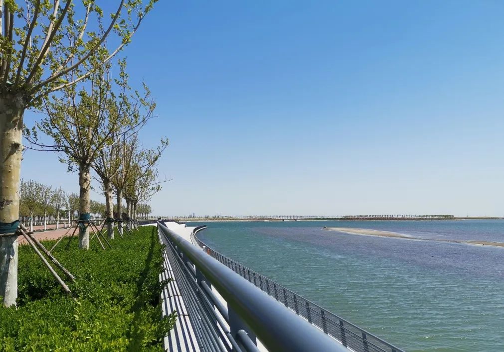 天津疫情期间开放的公园,天津北辰郊野公园现在开放吗