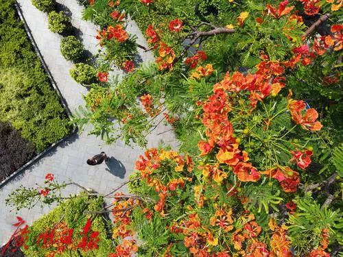 急扩！吃了这些东西，千万躲着太阳！近期医院已接诊上百例