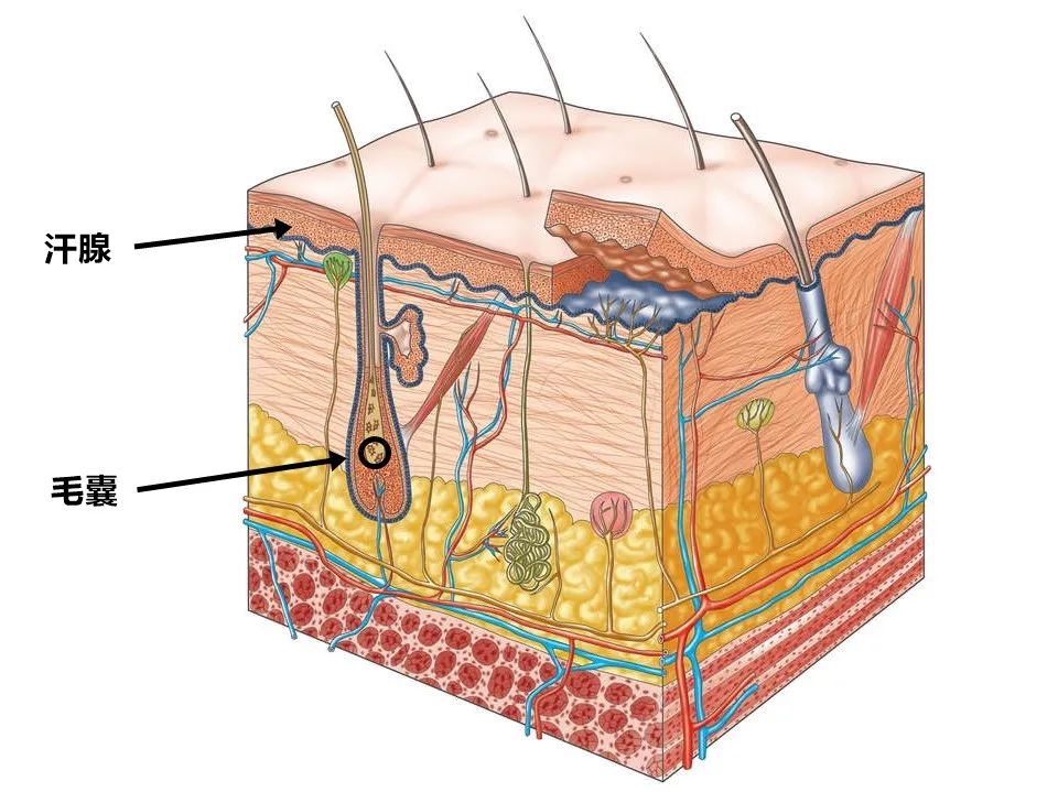 推广||我苦口婆心安利了三年，她们一用就说后悔没有早点买