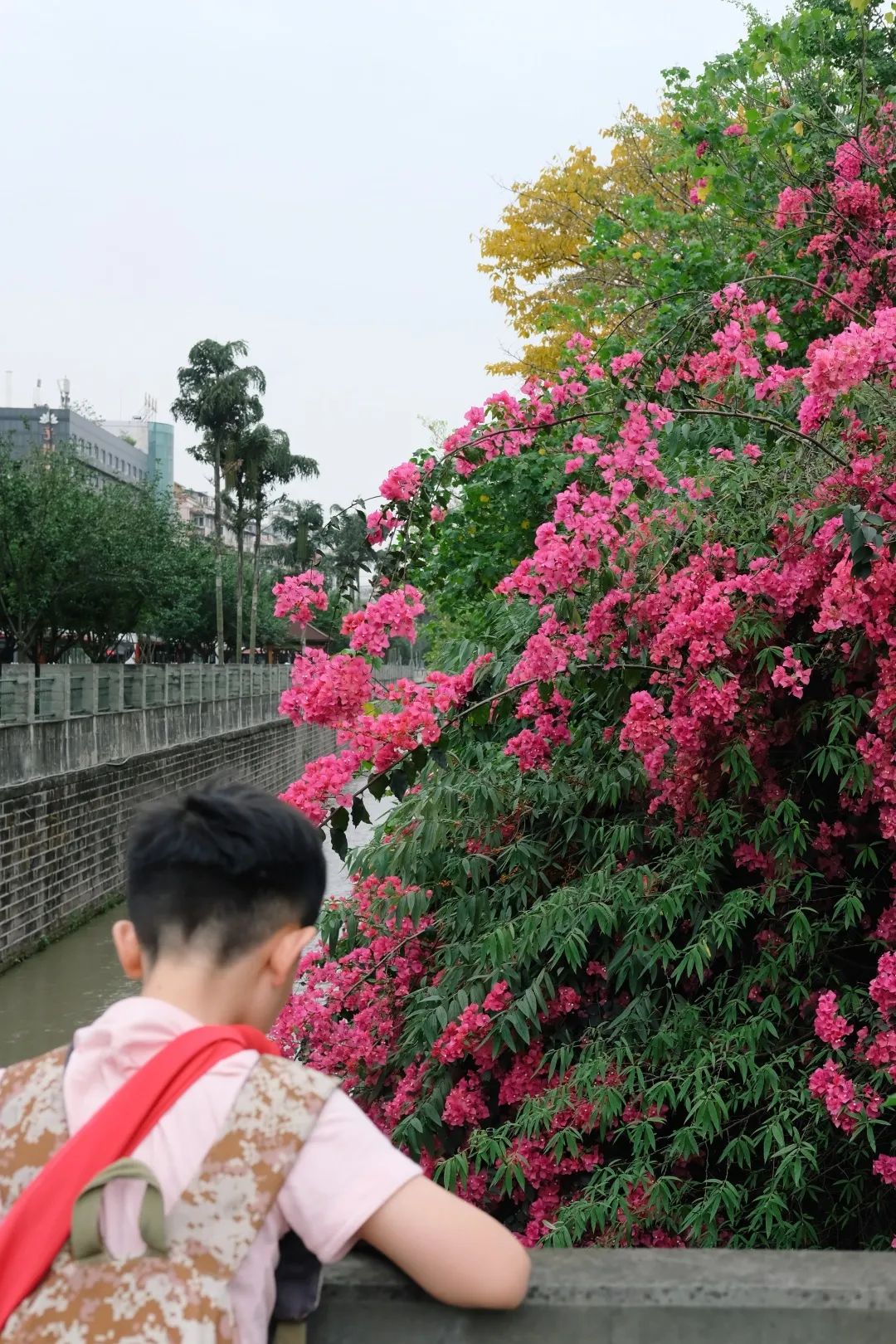 少陵路是属于哪个街道,三年前少陵路