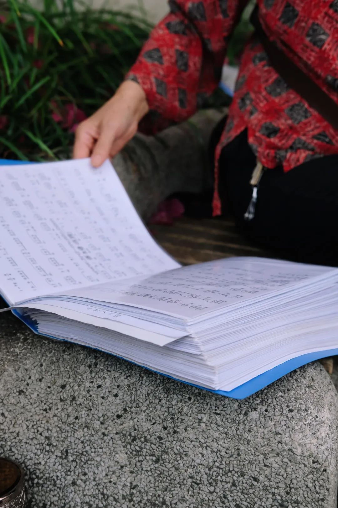 少陵路是属于哪个街道,三年前少陵路