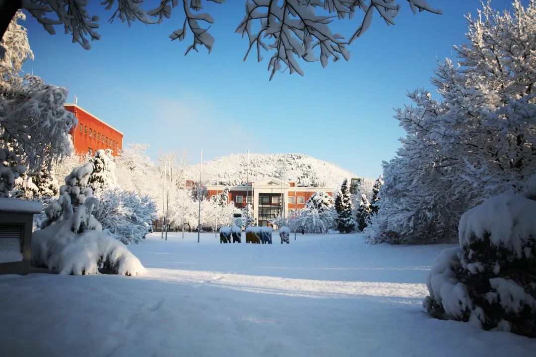 私立汇佳是ib课程吗,中招考试国际学校