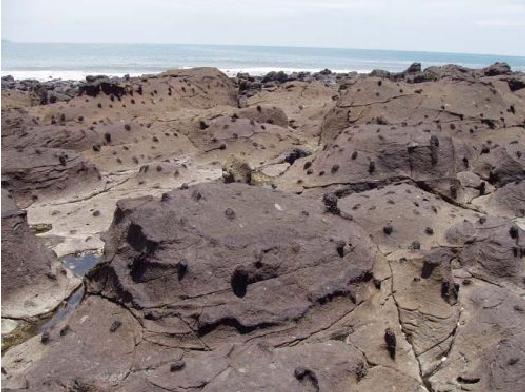 一半是火焰一半是海水啥意思,一半是火焰一半是海水全文