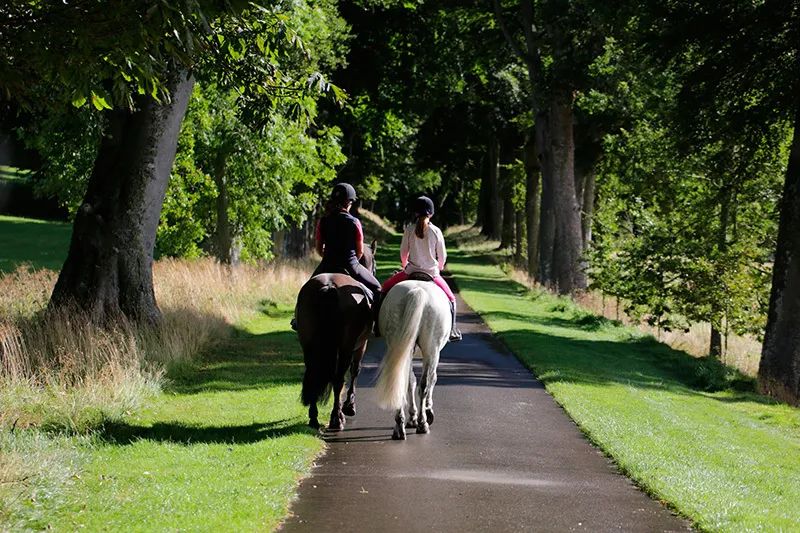 最神秘的城堡,全球十大最迷人城堡