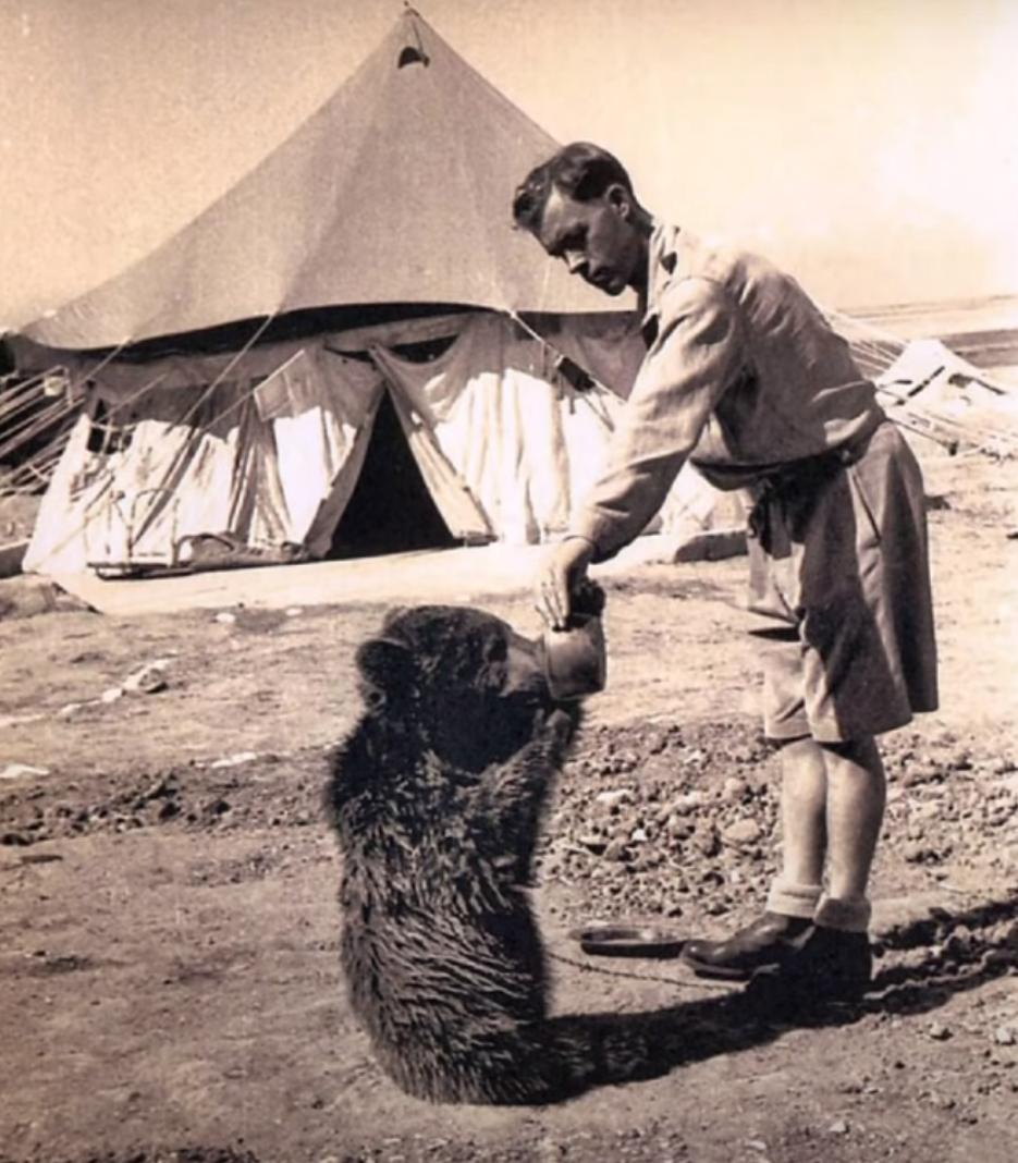 最骚士兵熊：抽烟喝酒花钱，样样在行，还是个战斗英“熊”