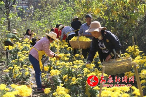 石泉旗帜领航助推乡村全面振兴,石泉县池河镇乡村