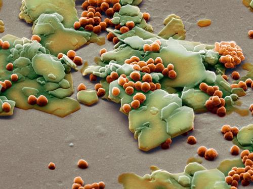 这个东西别乱扔，能换钱