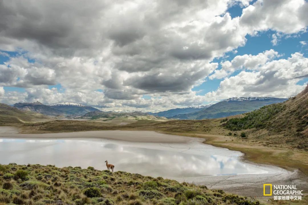 这对夫妇花巨资买下国家公园，居然白送？