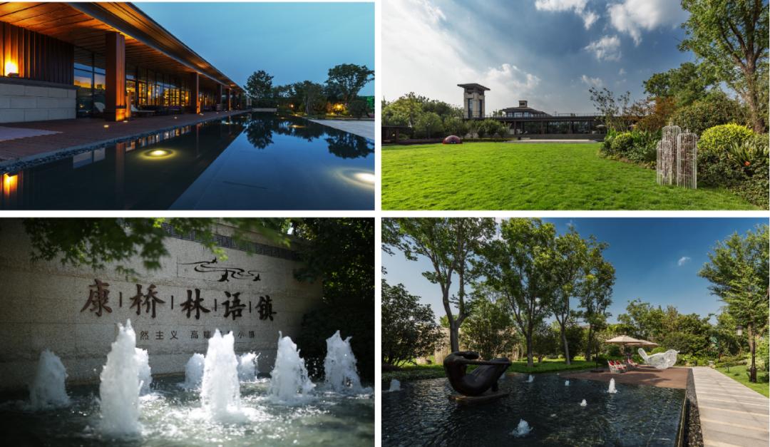 郑州涨幅最快的板块,郑州区域板块未来发展潜力排行