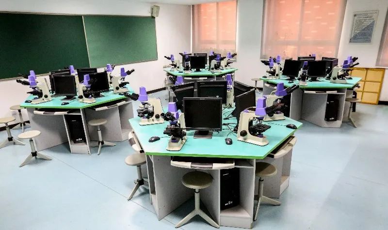 北京市第五十五中学国际部招生,北京市第五十五中学招生