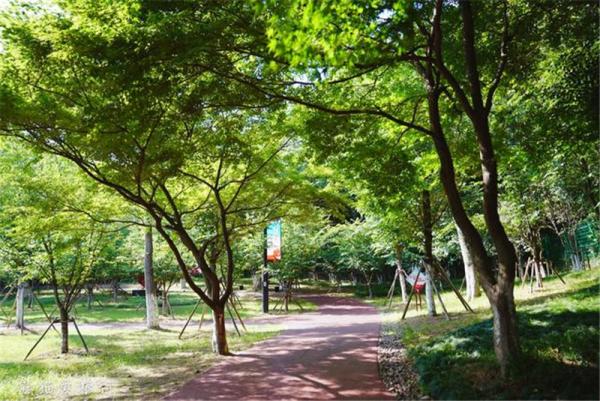 常熟山水之城旅游,常熟江南水乡风景