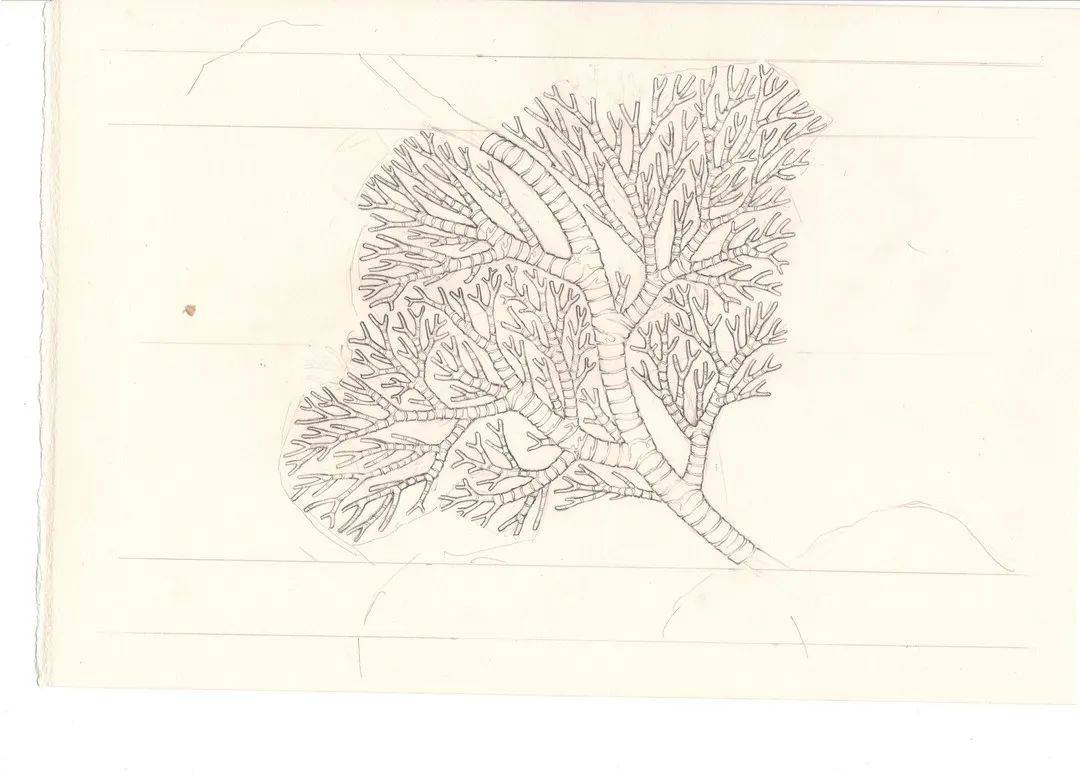 2021中央美术学院设计作品,中央美术学院2020毕业展作品