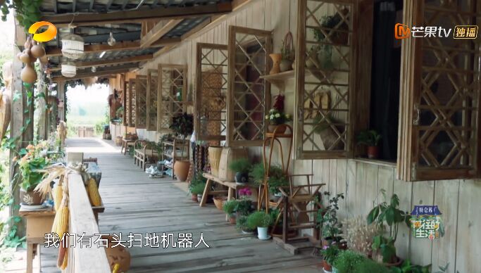 何炅和黄磊现状,何炅黄磊日常生活