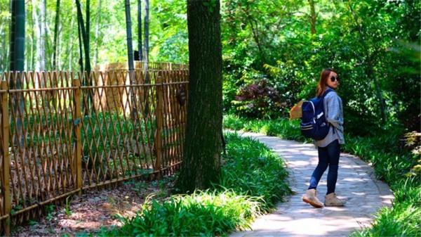 江浙低调的城市,常熟值不值得去