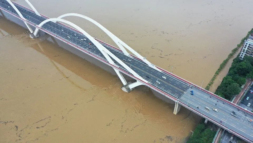 又是珍爱网！多名女性情财两空，“杀猪盘”屡禁不止！网站该负责吗？