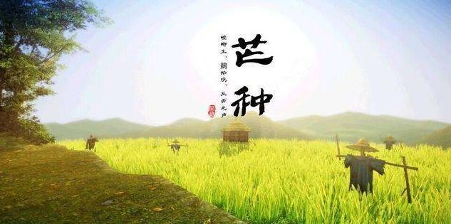 芒种图片,芒种越南