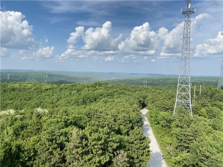 再造子午岭,再造一个子午岭有效吗