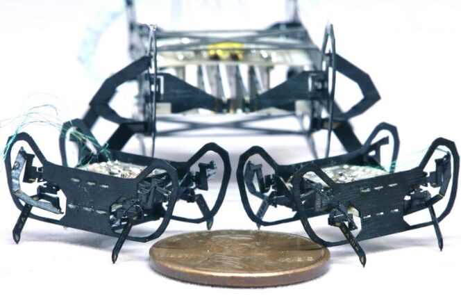 最小最快！哈佛受蟑螂启发的机器人突破又一极限缩小至硬币大小仅重0.3克