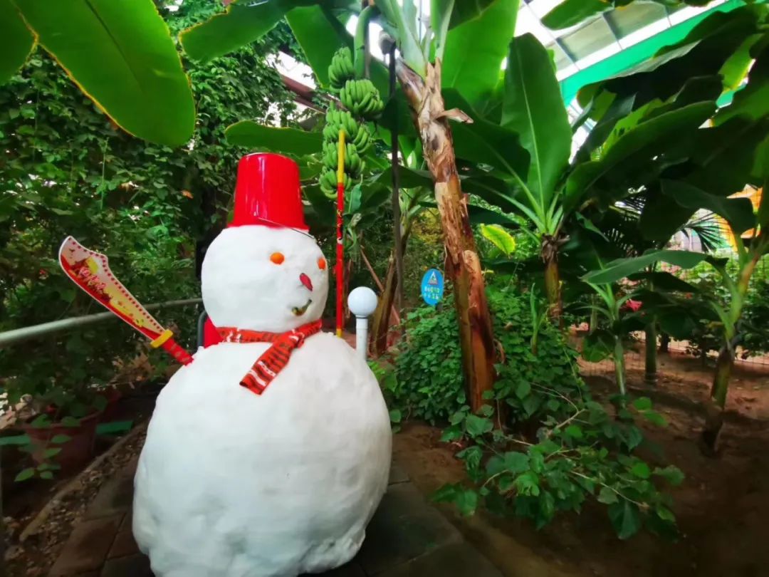 「限量特价」39元抢购价值5000元的2020年北京联合游览通票1套，可畅游京城百家景区，不贴照片不实名，不限周末，省钱还省心