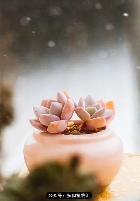 专注于自己喜欢的事情,专注于自己喜爱的事情