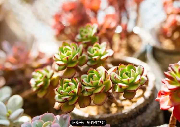 专注于自己喜欢的事情,专注于自己喜爱的事情