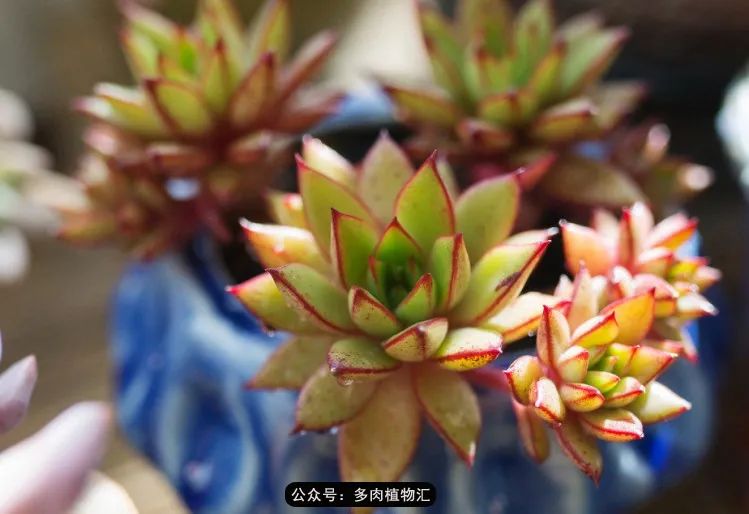 专注于自己喜欢的事情,专注于自己喜爱的事情