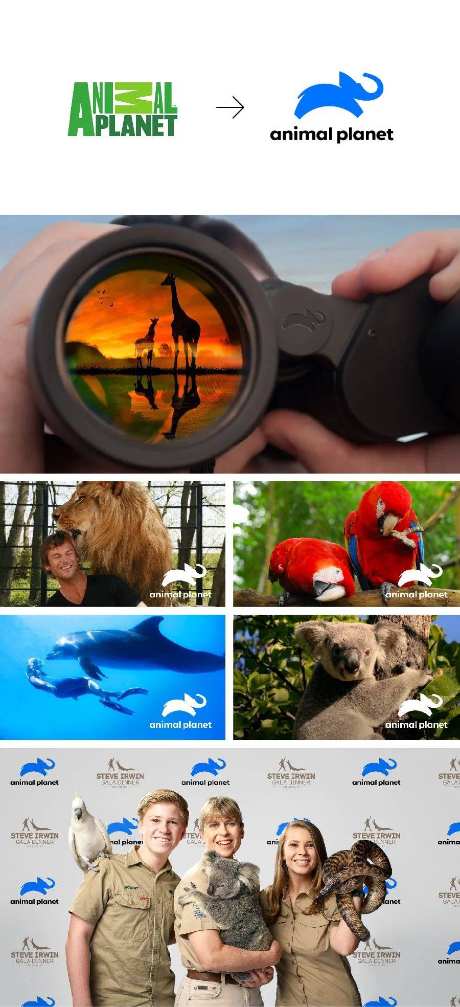 必看商标logo设计必须要注意的事,免费商标logo设计在线生成无水印