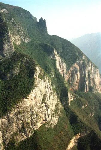 三番五次离家出走,三次离家出走的男孩