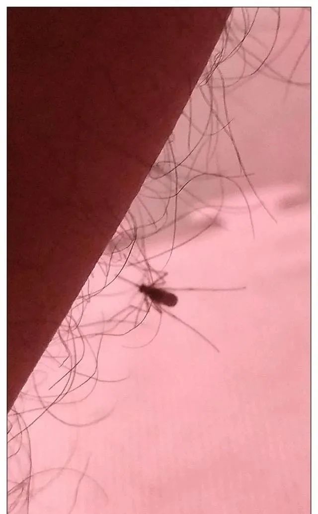 喜欢上自己的室友怎么办,我是女孩子喜欢女孩子怎么办