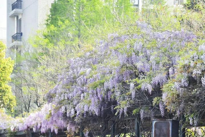 高二考上了中国科技大学,高二就考上中科大