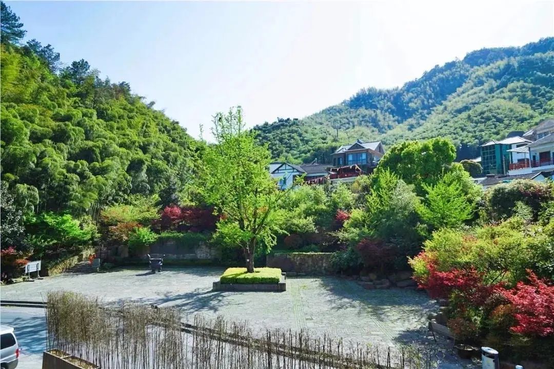 民宿招有粉丝量的试睡员,杭州民宿试睡官招募