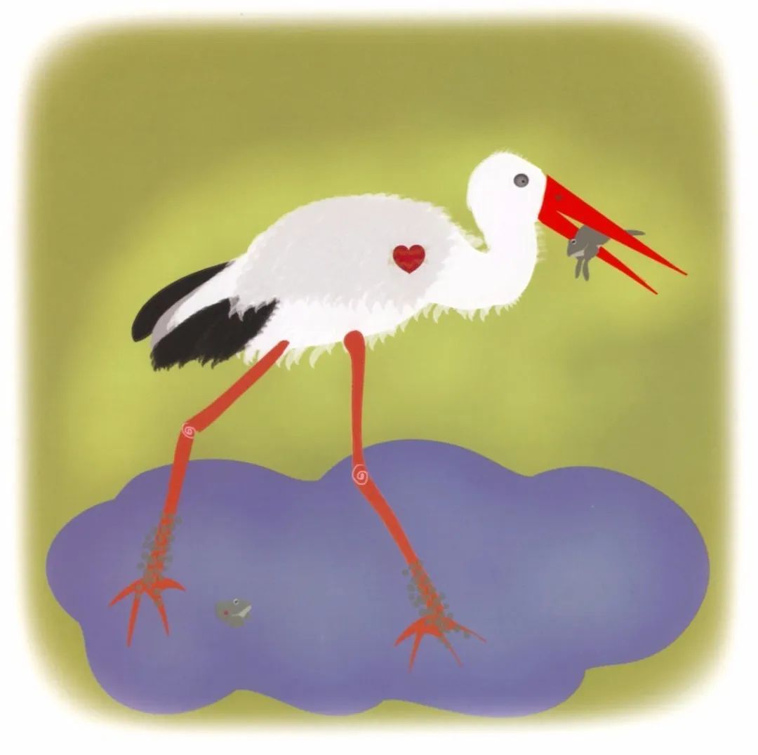 邕小环讲生态故事｜感谢蜱虫：面对自然界的奇妙，我们不得不服