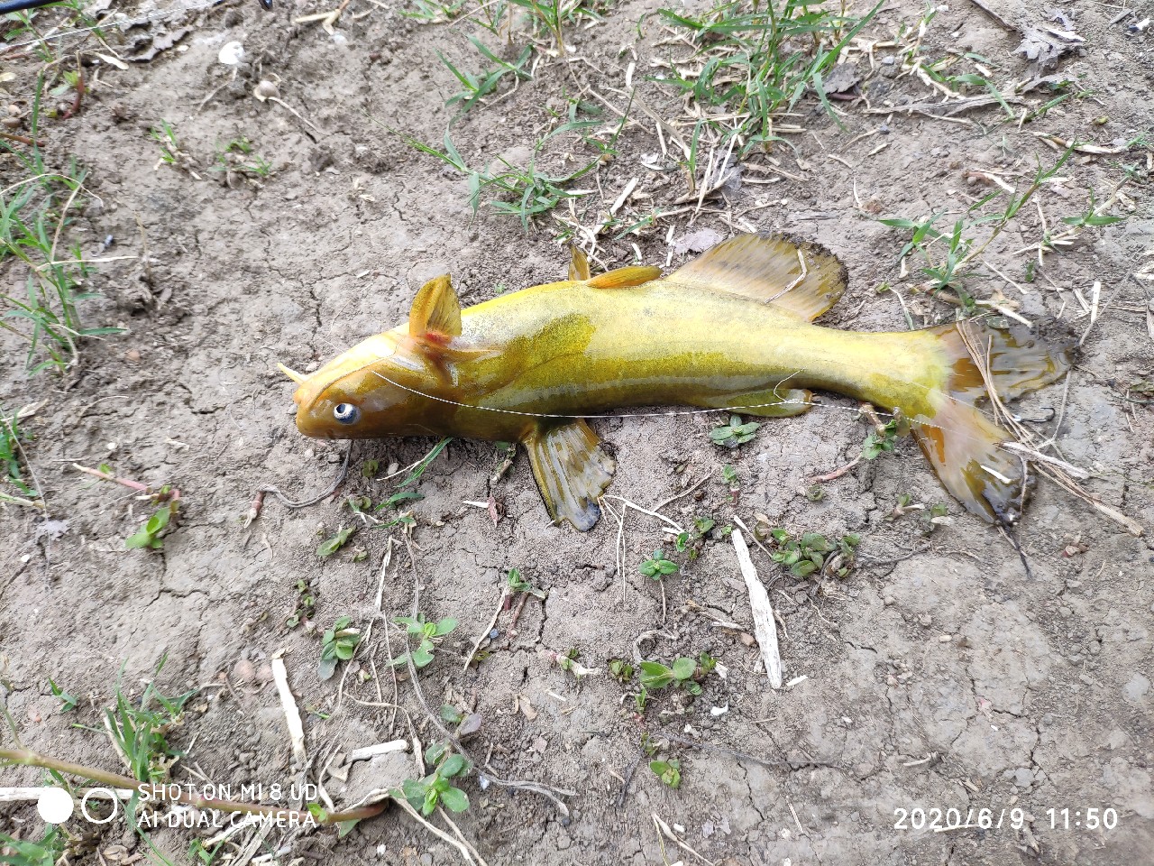 小矶竿导环怎么修复,小矶竿手把节修复