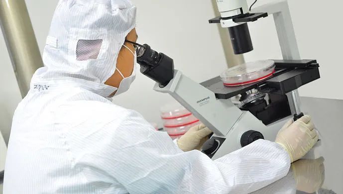 推动产业加快转型,打造生物医药产业集聚高地