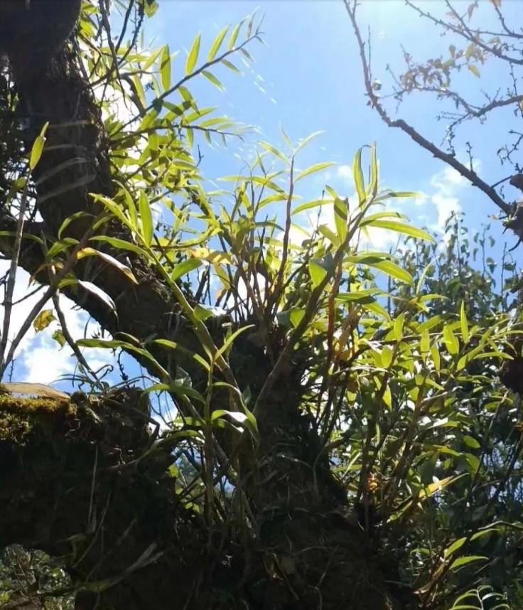 美文阅读人生如诗读后感,悦读美文领悟生活