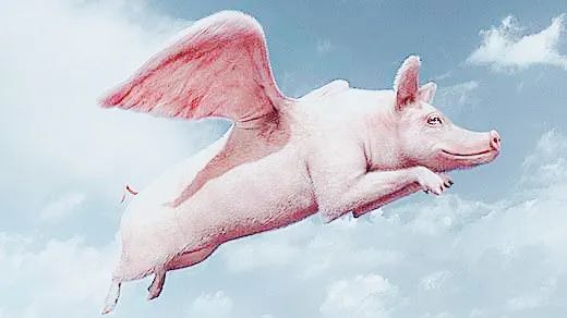 后疫情时代社区街铺或成大赢家,后疫情时代开启全民创业潮