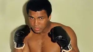 鲍德温为什么统治耶路撒冷,鲍德温美国