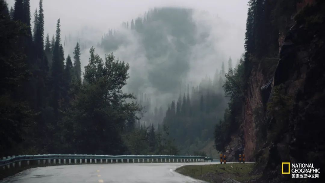 有一种异域风情的美,有一种前所未有的力量充斥着我